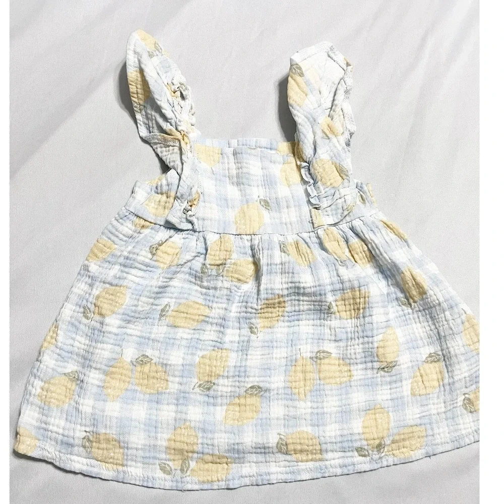 Emily And Oliver Baby Girls Size 24M Blue Gingham Lemon Print Gauzy Cotton Dress